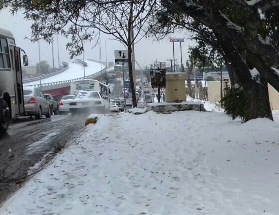 WhatsApp Image 2017-12-08 at 10.26.47