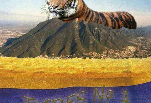 WhatsApp Image 2017-12-10 at 22.19.31