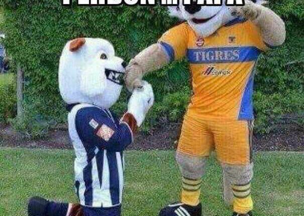 WhatsApp Image 2017-12-10 at 22.20.24