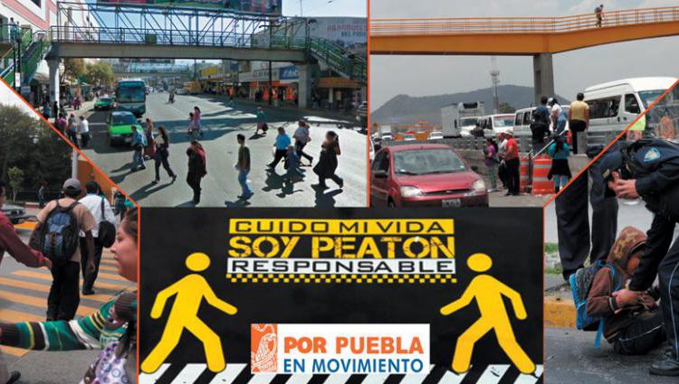 reglas-de-convivencia-para-automovilistas-y-peatones